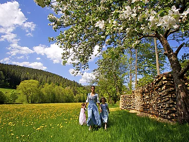 Frau und Kinder in der Sommerlandschaft im Schwarzwald beim Enztalhotel im Enztklösterle