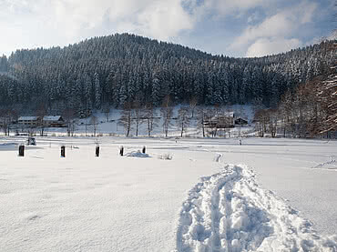 Winterlandschaft beim Enztalhotel im Schwarzwald im Enzklösterle