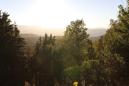 Sommerlandschaft im Schwarzwald beim Enztalhotel