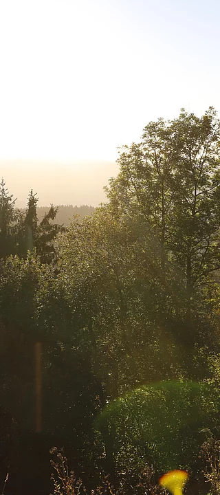 Sommerlandschaft im Schwarzwald beim Enztalhotel