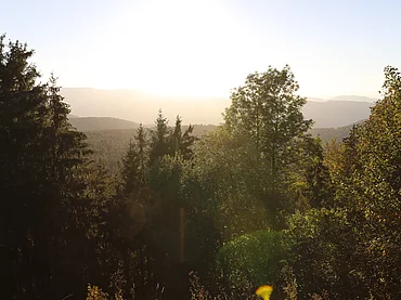 Sommerlandschaft im Schwarzwald beim Enztalhotel