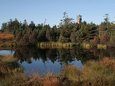 Die 65 Kilometer lange Schwarzwaldhochstraße im Norden der Ferienregion führt von Baden-Baden nach Freudenstadt. Vorbei geht es auch an der Hornisgrinde mit 1164 Metern höchster Berg im nördlichen Schwarzwald, umgeben von Hochmoor. Vom Aussichtsturm geht der Blick bis zu den Schweizer Alpen. Das Foto ist frei für die Veröffentlichung in Katalogen von Reiseveranstaltern und Verlagen.