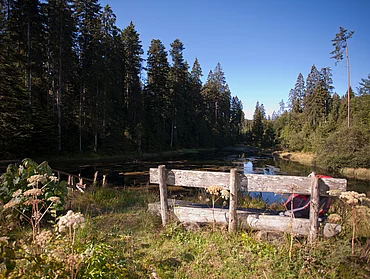 Sommerlandschaft im Schwarzwald beim Enztalhotel