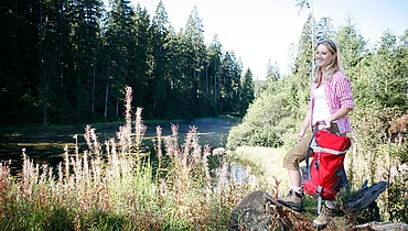 Frau beim Wandern im Schwarzwald beim Enztalhotel