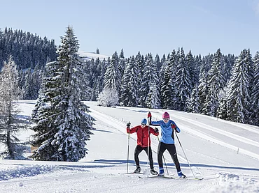 Paar beim Langlauf
