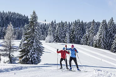 Paar beim Langlauf