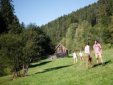 Gruppe beim Wandern im Schwarzwald beim Enztalhotel