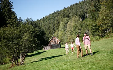 Gruppe beim Wandern im Schwarzwald beim Enztalhotel