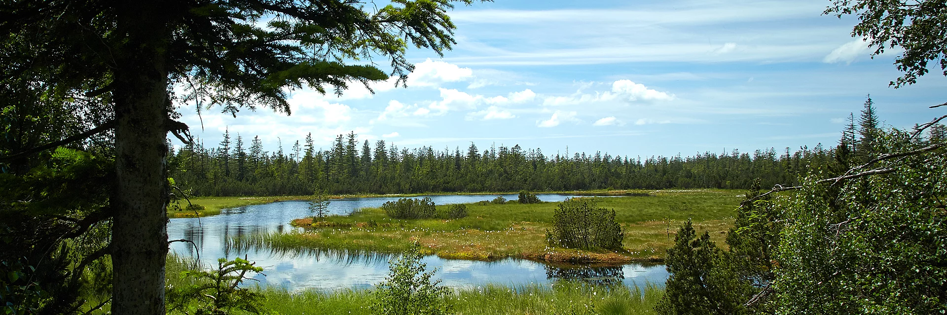 Wildsee im nördlichen Schwarzwald