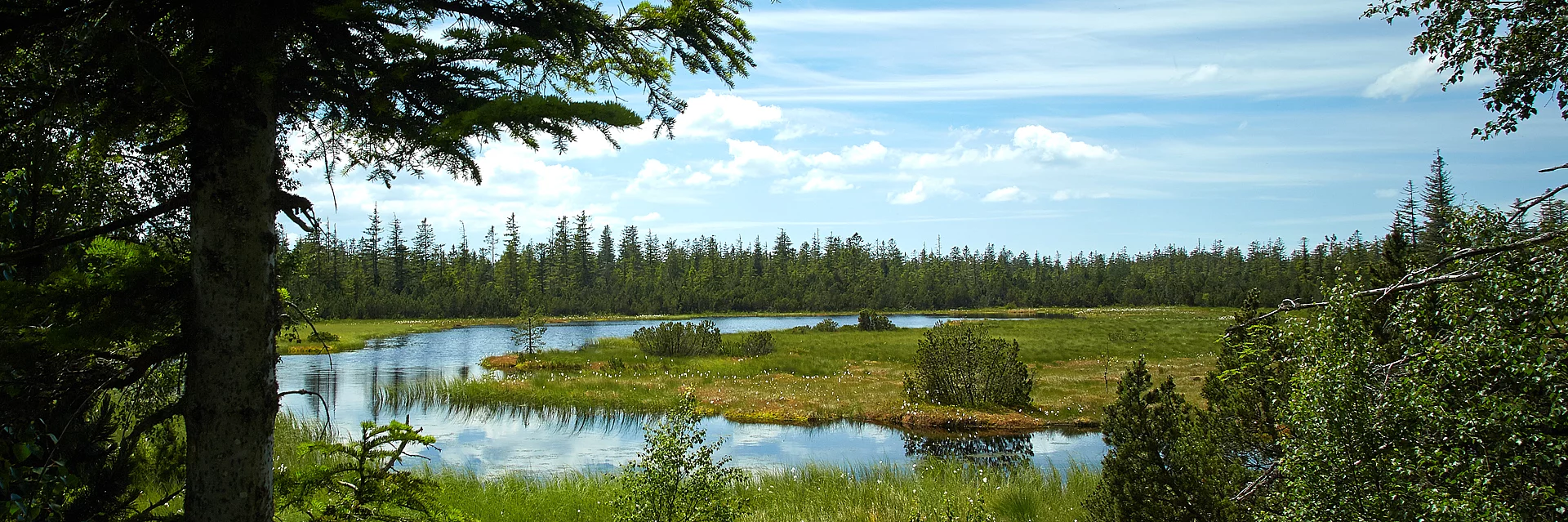 Wildsee im nördlichen Schwarzwald