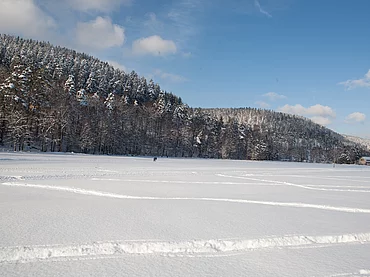 Winterlandschaft beim Enztalhotel im Schwarzwald im Enzklösterle