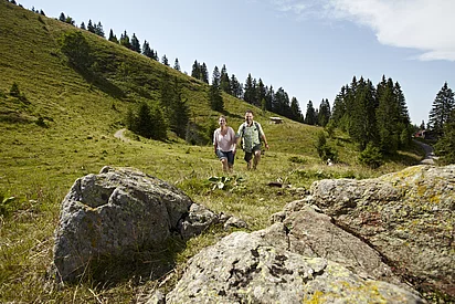 Wandern am Feldberg
