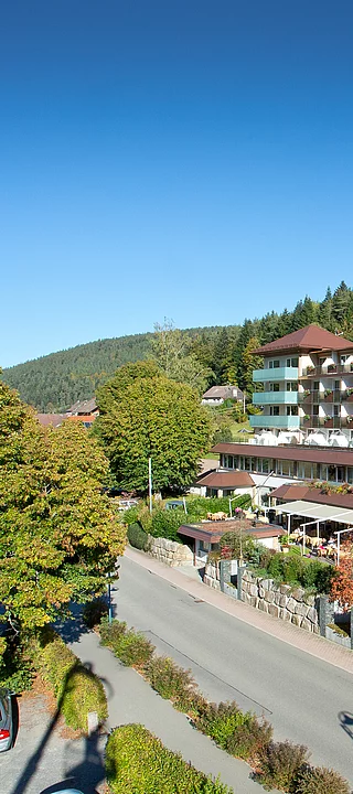 Hôtel spa 4 étoiles Enztalhotel en Forêt-Noire 