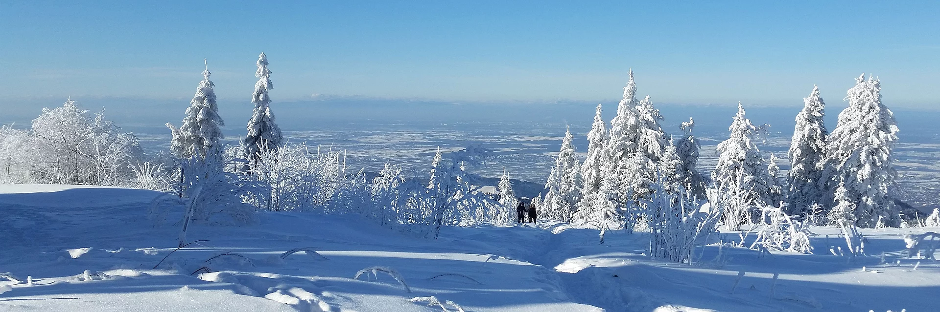 Ausblick von Hornisgrinde im Winter