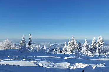 Ausblick von Hornisgrinde im Winter