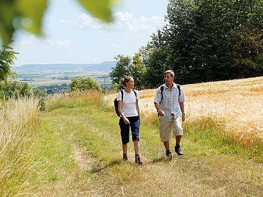 Die Natur rund um Donaueschingen ist abwechslungsreich, mit malerischen Winkeln und imposanten Aussichten. Hier gilt es nicht nur die Hochebene der Südbaar im Naturpark Südschwarzwald zu entdecken, hier lockt auch die junge Donau zu Tagesausflügen und Mehrtageswanderungen in einzigartiger Natur.