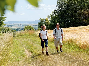Die Natur rund um Donaueschingen ist abwechslungsreich, mit malerischen Winkeln und imposanten Aussichten. Hier gilt es nicht nur die Hochebene der Südbaar im Naturpark Südschwarzwald zu entdecken, hier lockt auch die junge Donau zu Tagesausflügen und Mehrtageswanderungen in einzigartiger Natur.