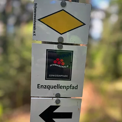 Ein kleiner Rückblick auf unsere Wanderwoche im Mai. Unser Wanderführer war wieder auf schönen Touren unterwegs. Natur pur, perfektes Wetter, Vesper im Wald...alles was man braucht.