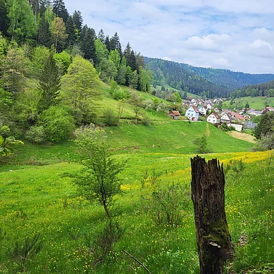 Kulinarischer Spaziergang im Enztal. Es warten wieder gute Unterhaltung mit leckerem Essen und tollen Weinen. #nördlicherschwarzwald #enztalhotel #enzklösterle #nature #wandernmachtglücklich