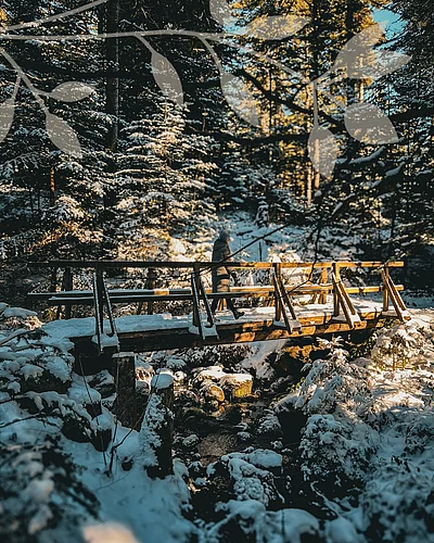 Winterliche Stille draußen ️ Wärme, Genuss und Geborgenheit drinnen Die Natur in Enzklösterle Eine Wanderung durch traumhafte Winterlandschaften Erholsame Nächte ️ und mit Sorgfalt zubereitete...