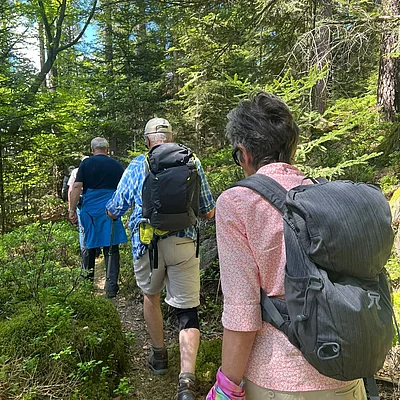 Ein kleiner Rückblick auf unsere Wanderwoche im Mai. Unser Wanderführer war wieder auf schönen Touren unterwegs. Natur pur, perfektes Wetter, Vesper im Wald...alles was man braucht.