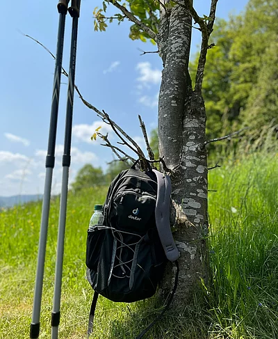 Wandersaison ist Wohlfühlzeit Raus aus dem Alltag, rein in die Natur! Entdecken sie traumhafte Wanderwege, frische Schwarzwaldluft und beeindruckende Ausblicke und genießen Sie danach die...
