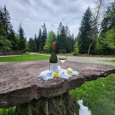 Einfach gut #nördlicherschwarzwald #enztalhotel #enzklösterle